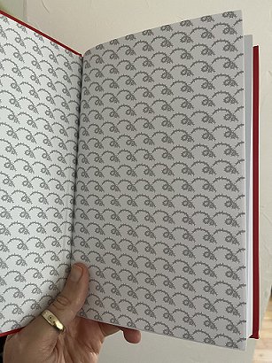 photograph to show the endpapers of the French edition of Twice Cursed