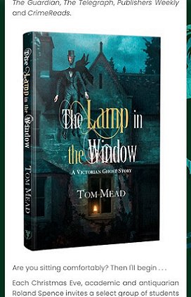 The Lamp in the Window by Tom Mead