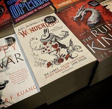 Copy of Wonderland, edited by Marie O'Regan and Paul Kane