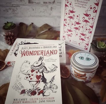 Display featuring Wonderland, edited by Marie O'Regan and Paul Kane