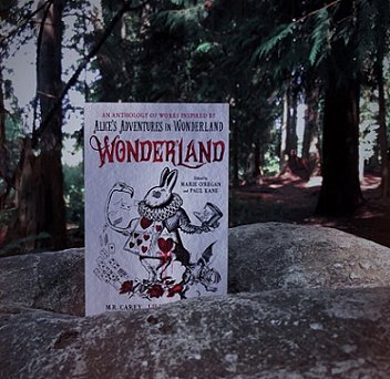 Wonderland, edited by Marie O'Regan and Paul Kane